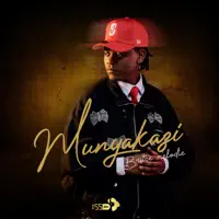 Munyakazi — Bruce Melodie