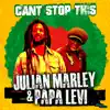 Julian Marley & Papa Levi - Can’t Stop This