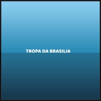 Tropa da Brasilia - Single - Mc Pixadão & ADA do Linho