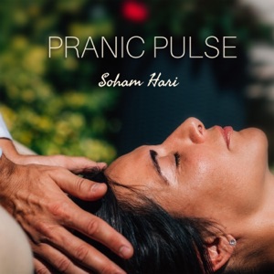 Pranic Pulse: Ayurvedic Reiki Echoes from India