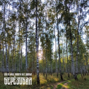 Берёзовая