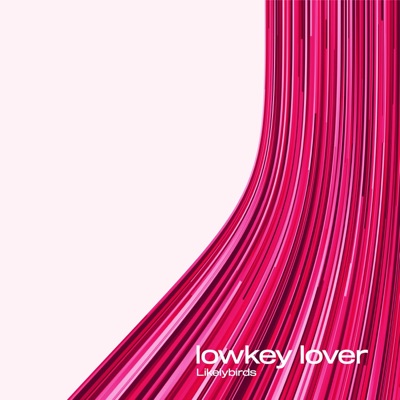 Lowkey Lover - Single