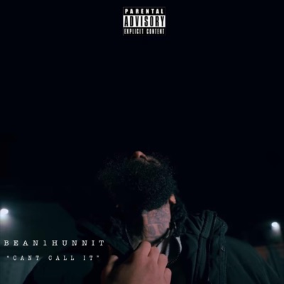 Cant Call It - Single