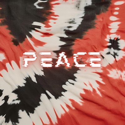 Peace (feat. Ryini Beats) - Single
