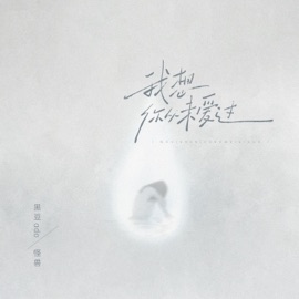 我想你从未爱过 黑豆ado & 怪兽