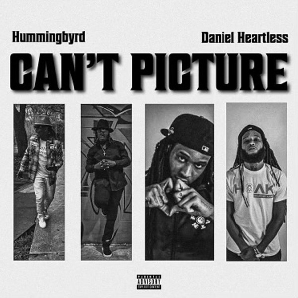 Can't Picture (feat. Daniel Heartless) - Single