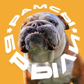 Оказия (feat. Охотник Том) РАМСЫ