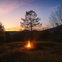 good wbu? - Single - Adam Yokum