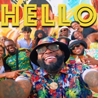 Hello (Reggae Version) - Single - Terry Bennett & Demarco