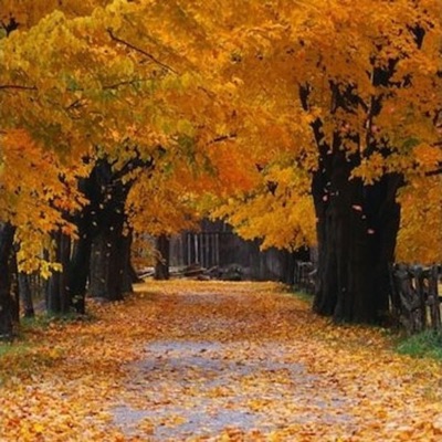 everything-you've-done-to-me - Single