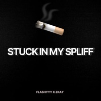 Stuck in my spliff (feat. Zkay) - Single - Flashyyy