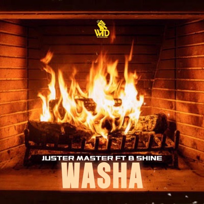 Washa (feat. B Shine) - Single