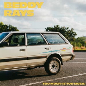 Too Much (Is Too Much) - Single