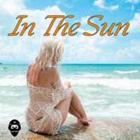 In The Sun - Single - Cyrus Beats