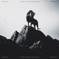 GOD ONLY KNOWS - Single - Pexxa