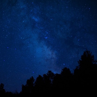 Into The Night - Single