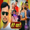 Tere Chehre Ka - Single