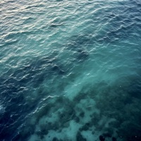 Twilight - Somnolent