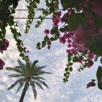 Haiti - Single - Lorey Jaune & aLeh