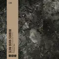 I Don't Believe In You