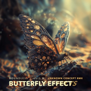 Butterfly Effects (Unknown Concept remix)