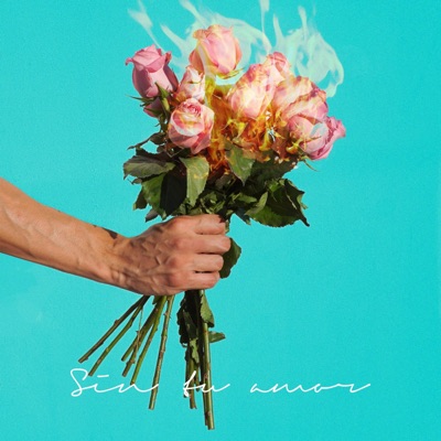 Sin Tu Amor - Single