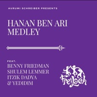 Hanan Ben Ari Medley - EP - Freilach Band, Benny Friedman & Itzik Dadya