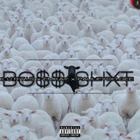 BOSS SHXT (feat. Emkay & paulieyoh_gee) - Single - C.U.R.T.I.S