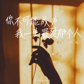 你不可能成为我一生最爱那个人 (Dj豪大大版伴奏) 阿吟 & 小小浩