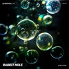 Rabbit Hole cover art