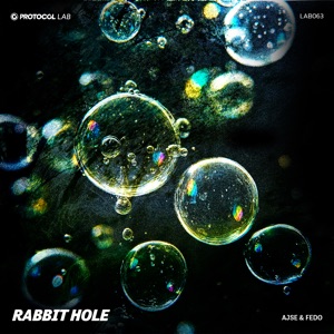 Rabbit Hole (Extended Version)