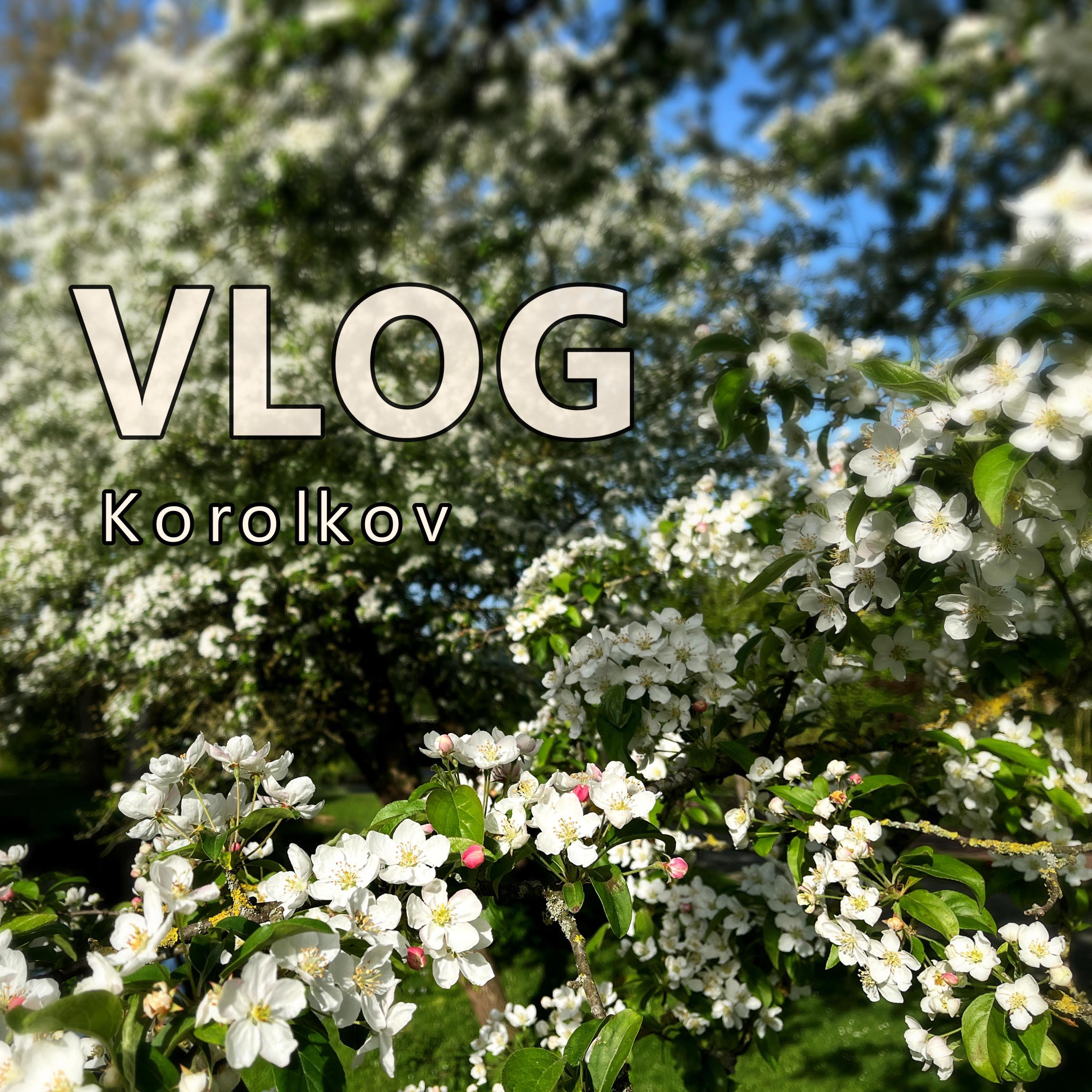Vlog - Single