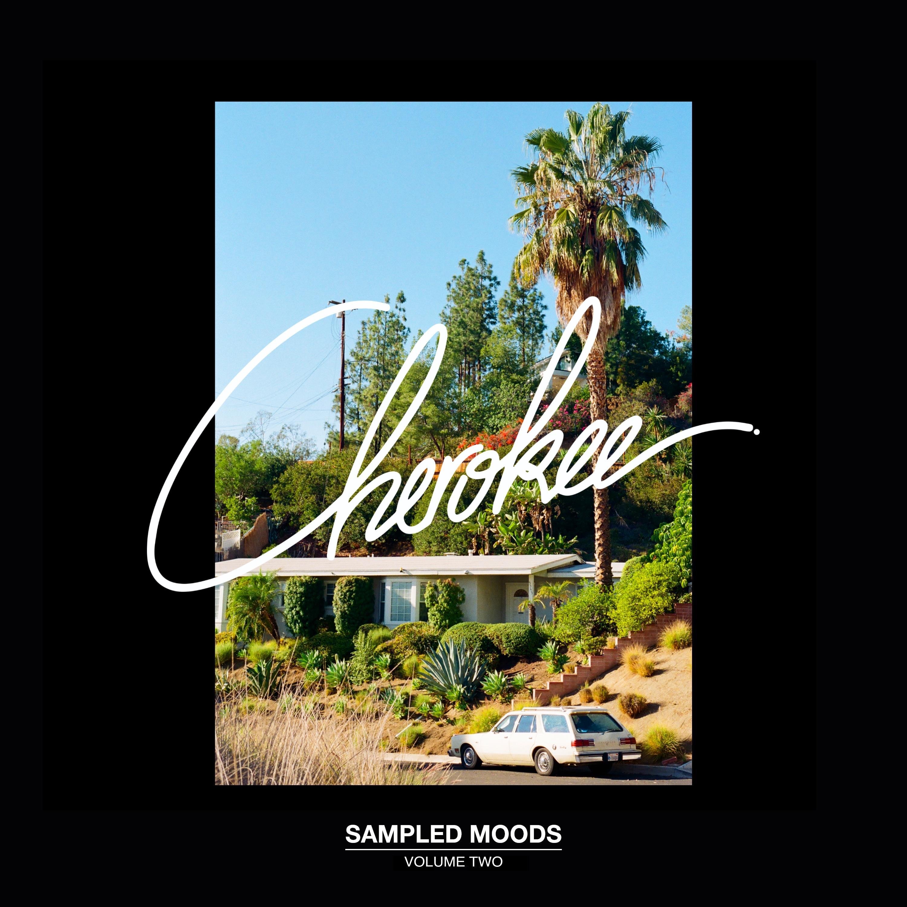 Sampled Moods Vol. 2 - EP