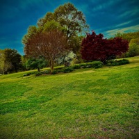 Like Us... - Single - Derron