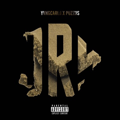 DRY (feat. Puzzus) - Single