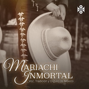Mariachi Inmortal – Voz, Tradición y Orgullo de México