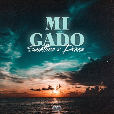 Mi Gado (feat. Sainttino) - Single