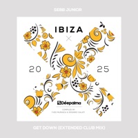 Get Down (Extended Club Mix)
