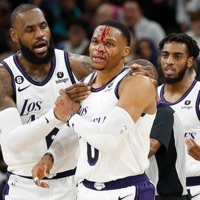 Baskets - Single - Bzzly