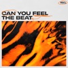 Can You Feel The Beat cover art