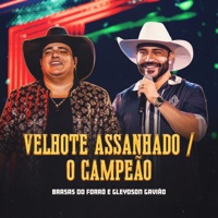 Velhote Assanhado / O Campeão - Single - Brasas do Forró & Gleydson Gavião