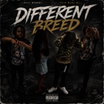 Different Breed (feat. Baby3) - Single