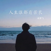 人生谁都有苦衷 - Single - 赵学飞