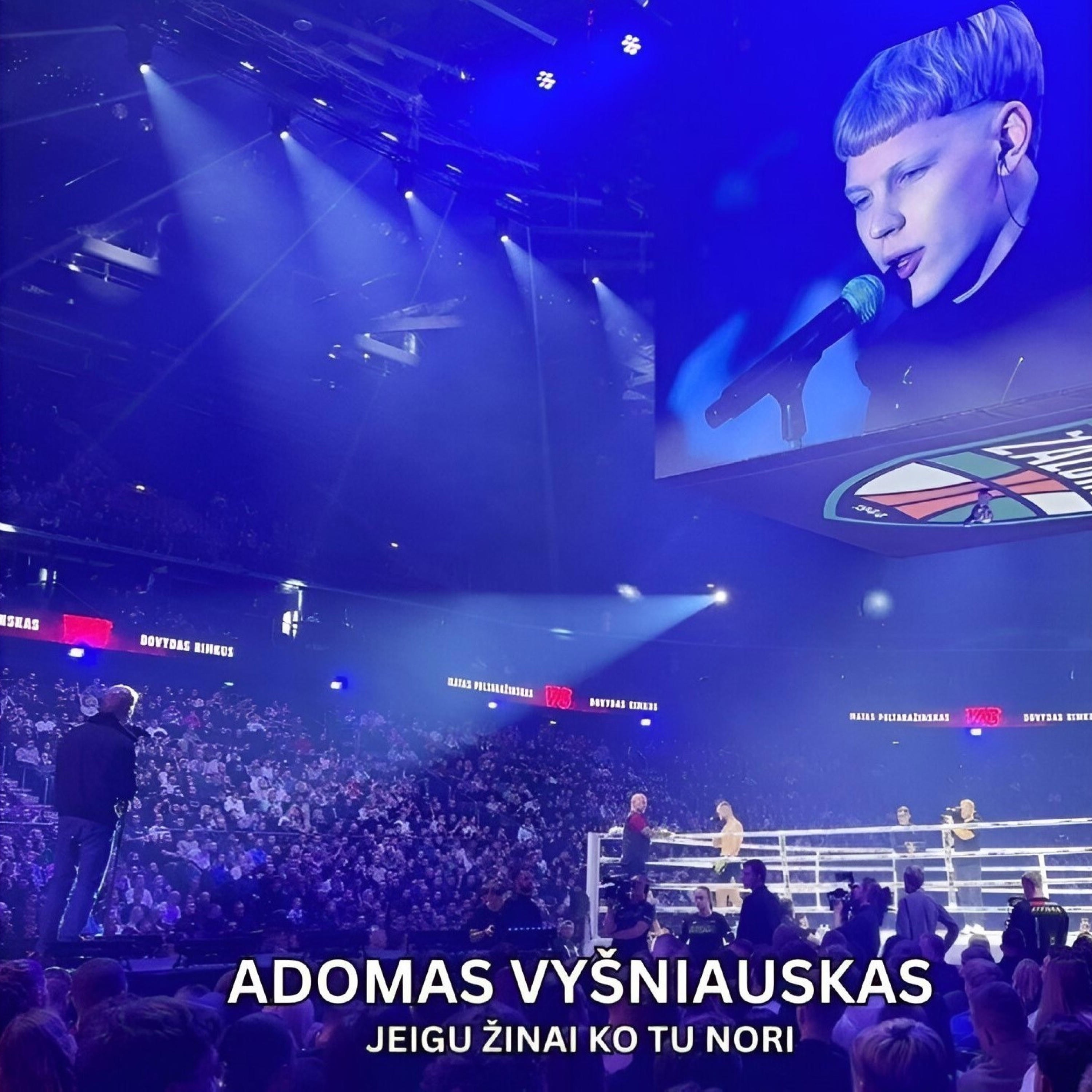 ADOMAS VYSNIAUSKAS - JEIGU ZINAI KO TU NORI