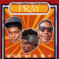 Pray (feat. Bucky x Owoblow) [Special Version] - Single - Toomuchluxe.com