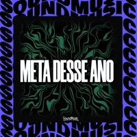 Meta Desse Ano - Single - Mc Roldão, dj ederson explode, SoundMusic Original & Mc Delux