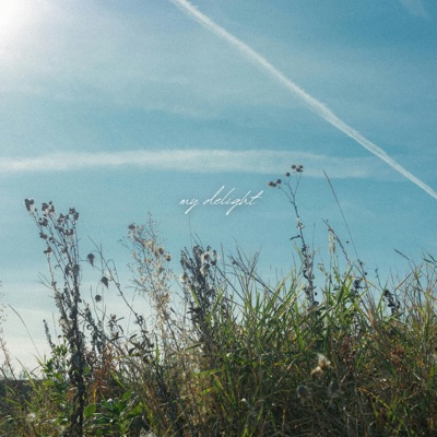my delight - Single