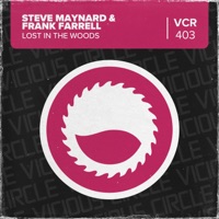 Lost in the Woods - Single - Steve Maynard & Frank Farrell