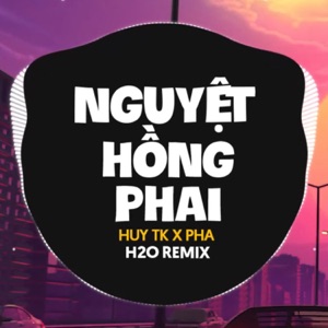 Nguyệt Hồng Phai (feat. HUY TK & Pha) [Deep House Remix]