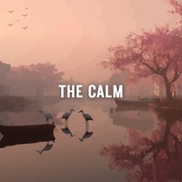 The Calm - Single - Walter Beasley